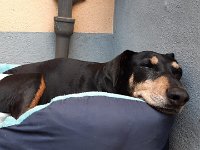 IMG-20190826-WA0002
